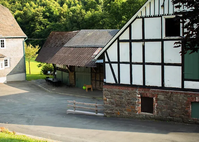 Hallmanns Hof 乡村民宿 *