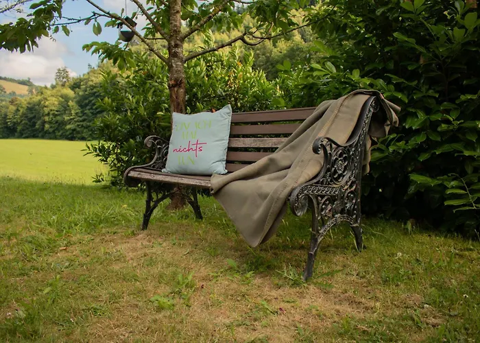 Hallmanns Hof 乡村民宿 *